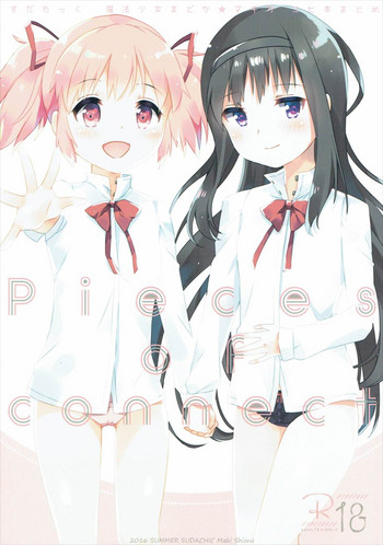 (C90) [すだちっく(塩野まき)] Pieces of connect (魔法少女まどか☆マギカ)