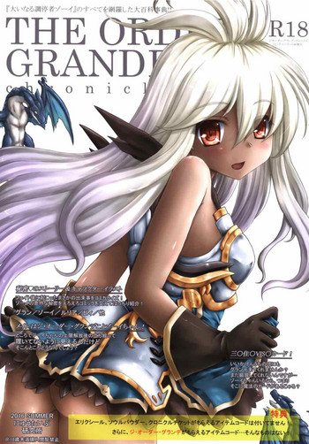 (C90) [にゅうたいぷ研究所 (理)] THE ORDER GRANDE chronicle (グランブルーファンタジー)