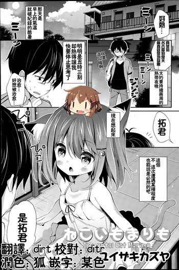 [ユイザキカズヤ] ねこいもまりも (COMIC 漫華鏡 2015年7月号) [中国翻訳]