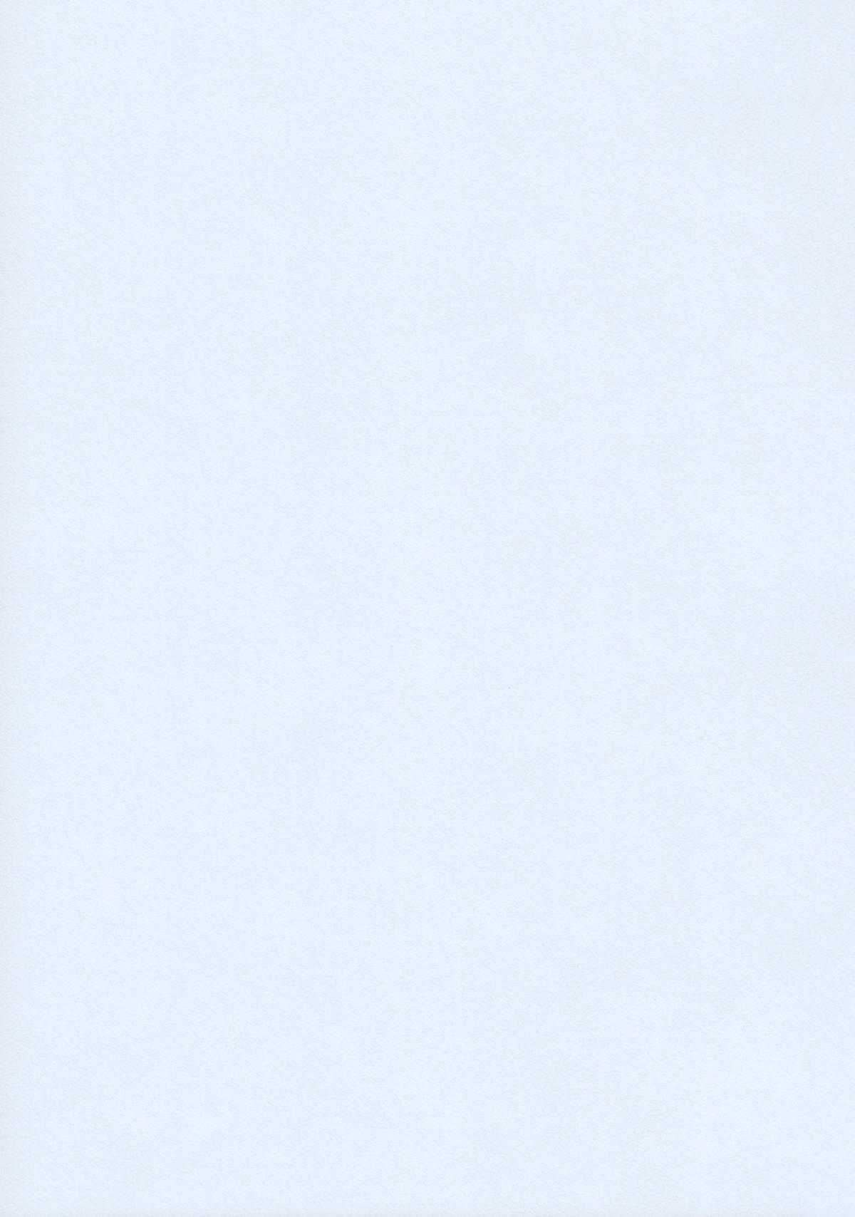 (真・東方神居祭) [KOTI (Aとし)] 罪椛 (東方Project)