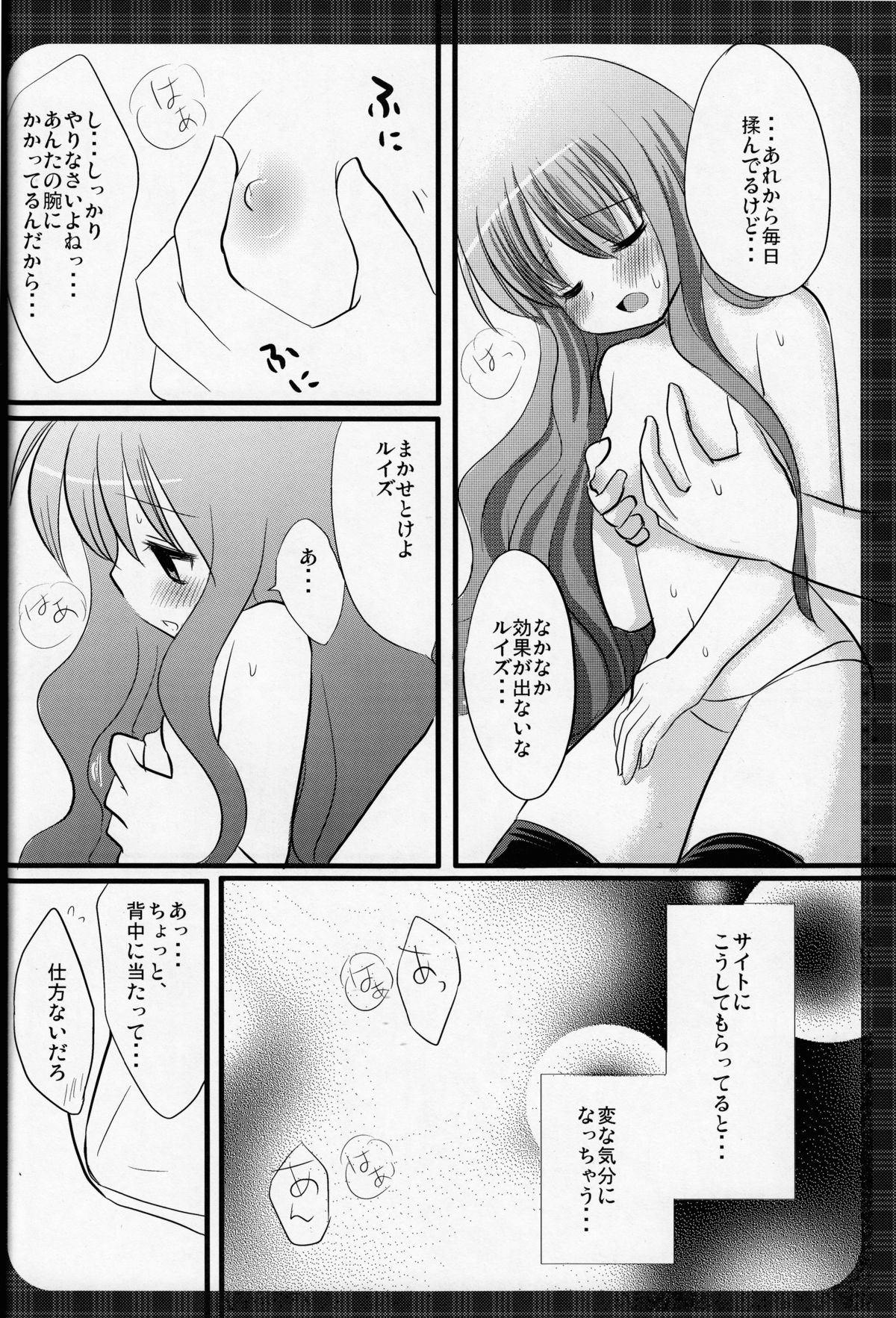 (サンクリ37) [ナギヤマスギ (那岐山)] おっぱいとルイズ (ゼロの使い魔)