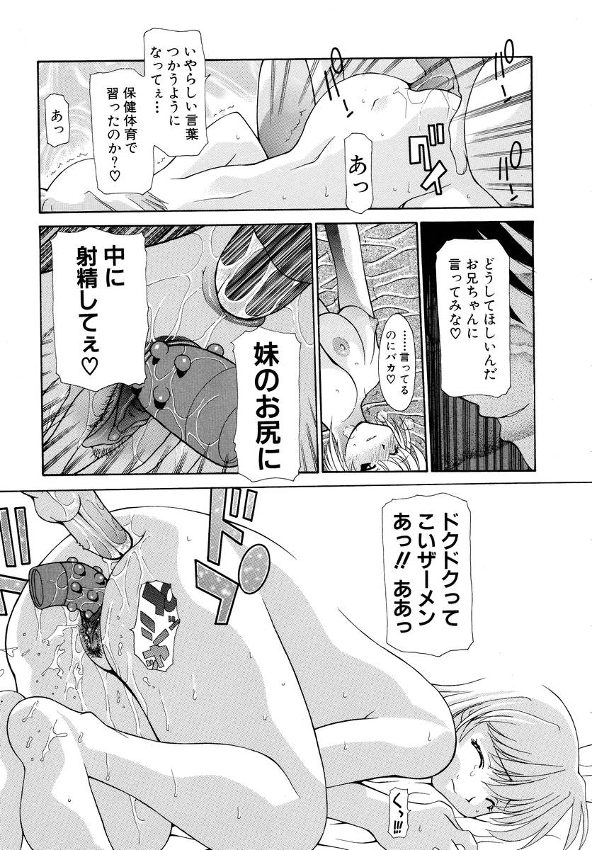 [伊沢慎壱] 背徳のマリア