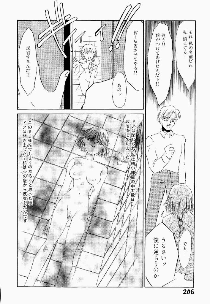 [海野やよい] 異端の快楽 第2巻