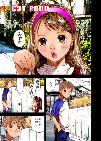 【中村水茂】キャットフード