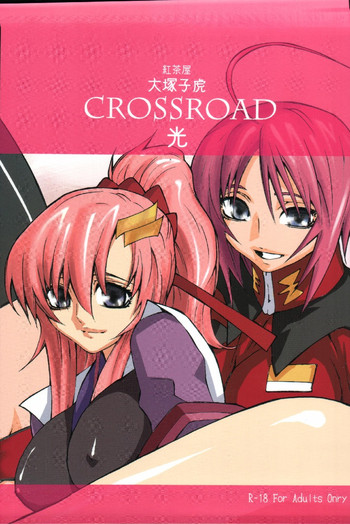 [紅茶屋 (大塚子虎)] crossroad 光 (機動戦士ガンダムSEED DESTINY)
