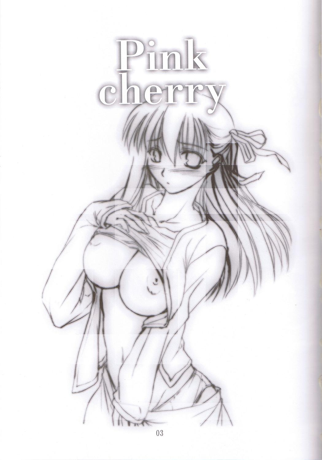 (C66) [しもやけ堂 (逢魔刻壱)] Pink cherry (Fate/stay night)