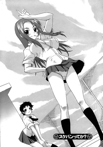 あなたはスケバンですか？ [ENG]