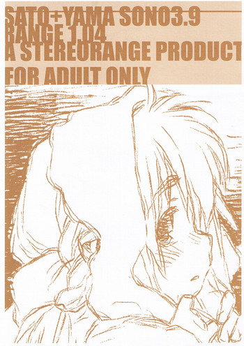 【ステレオレンジ】SATO + YAMA SONO3.9