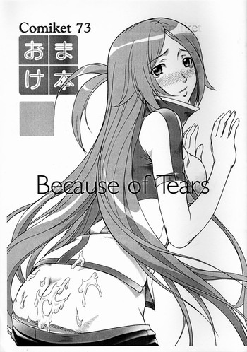 (C73) [御伽屋X-9 (三月春人)] Because of Tears (ドラゴノーツ)