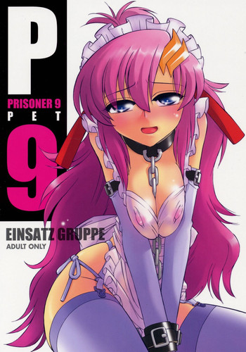 (C71) [EINSATZ GRUPPE (チャーリーにしなか)] PRISONER 9 Pet (機動戦士ガンダムSEED DESTINY)