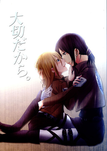(C84) [木漏れ日亭 (ソラ)] 大切だから。 (進撃の巨人)