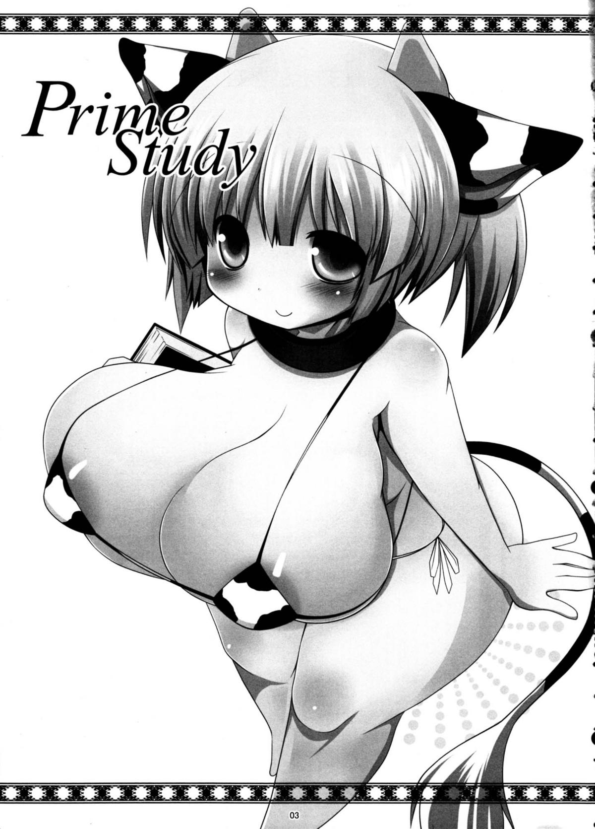 (C81) [mim'im (みみすけ)] Prime Study