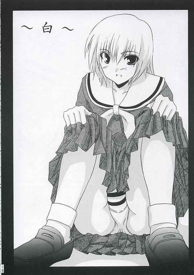 ヴァージンヒストリー（マリア様がみてる）