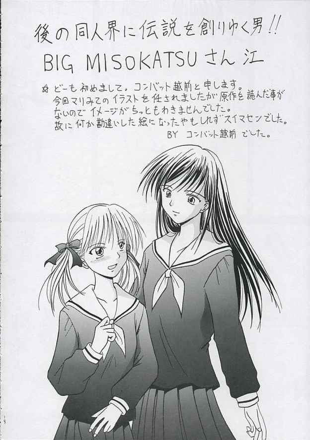 ヴァージンヒストリー（マリア様がみてる）