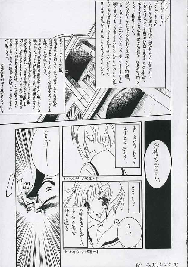 ヴァージンヒストリー（マリア様がみてる）