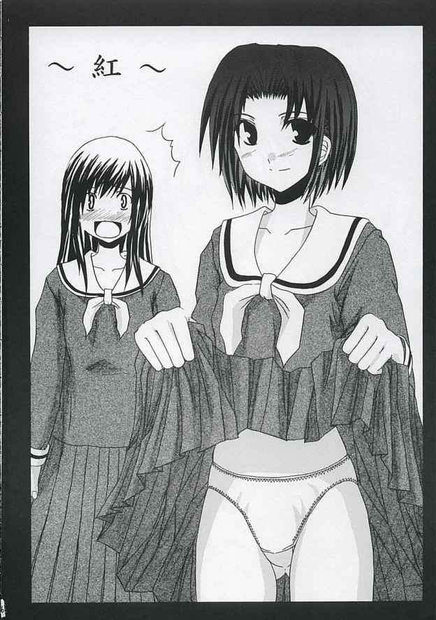 ヴァージンヒストリー（マリア様がみてる）