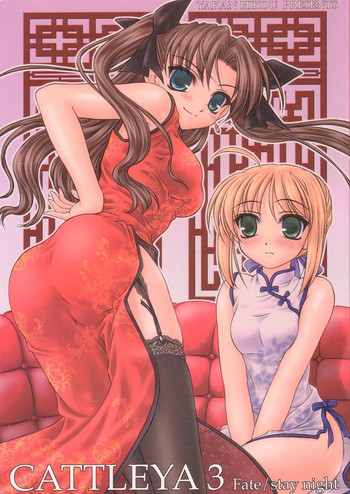 (C67) [夜間飛行 (いのうえとみい)] CATTLEYA 3 (Fate/stay night)