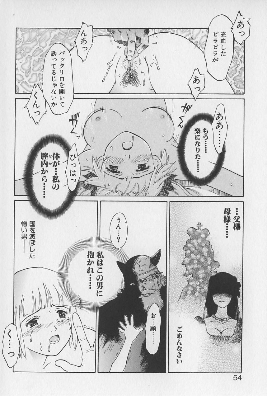 [やまのべきった] 姫様の鍵穴