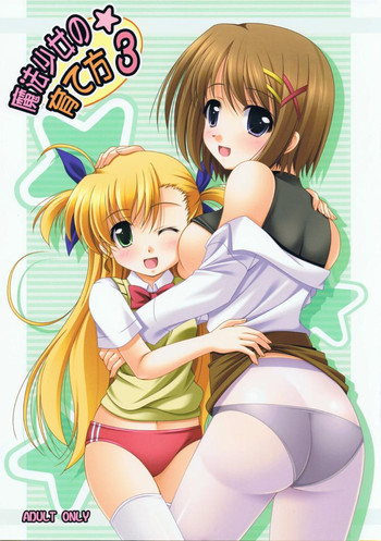 (C75) [K-Drive (鳴滝しん)] 魔法少女の育て方 3 (魔法少女リリカルなのは)