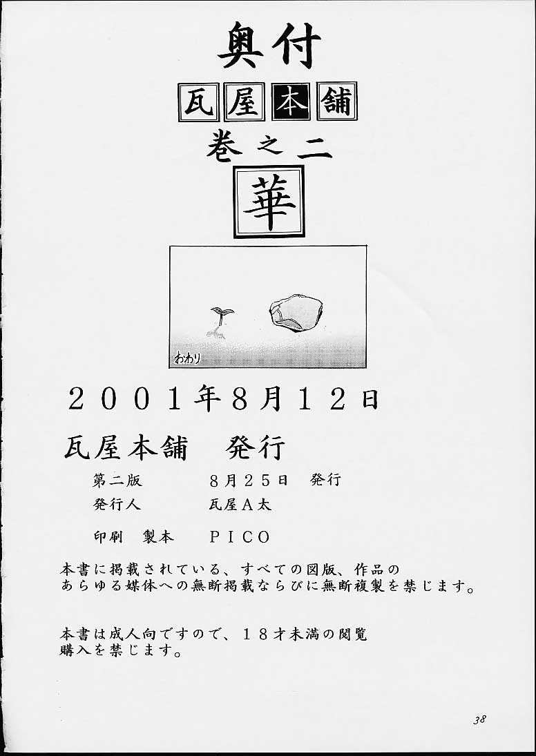 (C60) [瓦屋本舗 (瓦屋A太)] 華 巻之二 (ファイナルファイト, キング･オブ･ファイターズ, ストリートファイター)