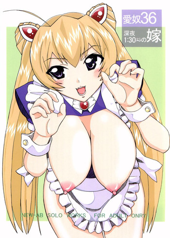 (サンクリ31) [あーびーのーまる (にゅーAB)] 愛奴 36 深夜1:30～の嫁 (マジカノ, 極上生徒会, 舞-乙HiME)