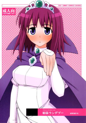 (C72) [紺野制作坊 (紺野あずれ)] 姫様ランデブー (ゼロの使い魔)