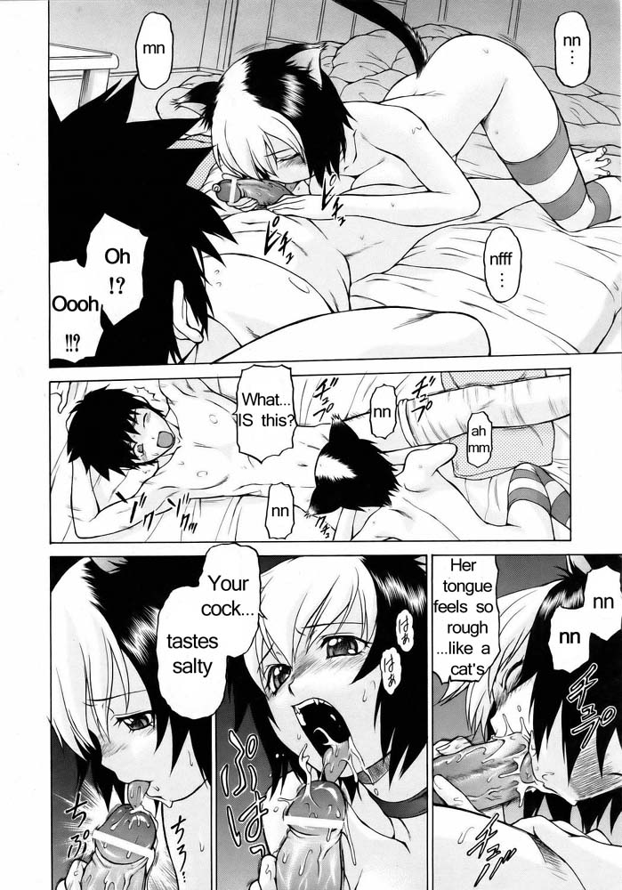 ミラクルキティパンチ[英語] [書き直し]