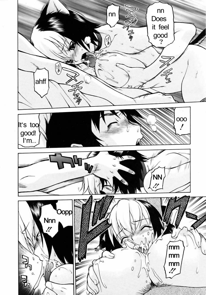 ミラクルキティパンチ[英語] [書き直し]