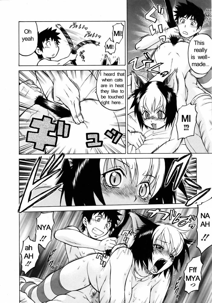 ミラクルキティパンチ[英語] [書き直し]