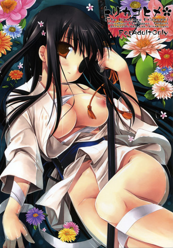 (サンクリ36) [D・N・A.Lab. (ミヤスリサ)] トリカゴヒメ The Birdcage Princess (銀魂)