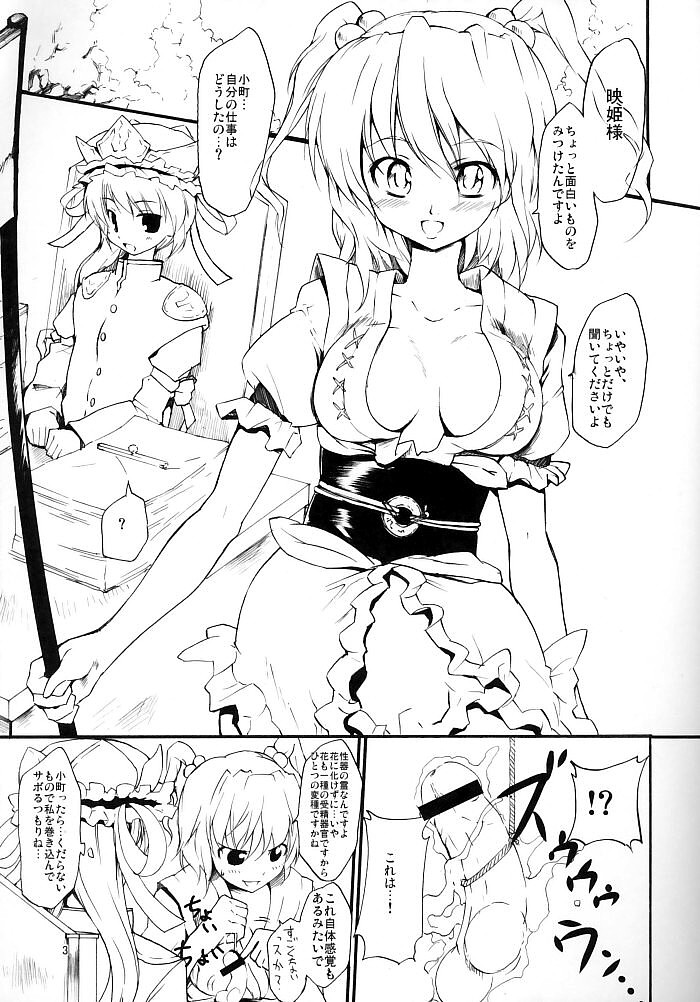 (サンクリ29) [PARANOIA CAT (藤原俊一)] 東方浮世絵巻 屈辱編 「泥舟タイタニックとおてんば恋娘の逆襲」 (東方Project)