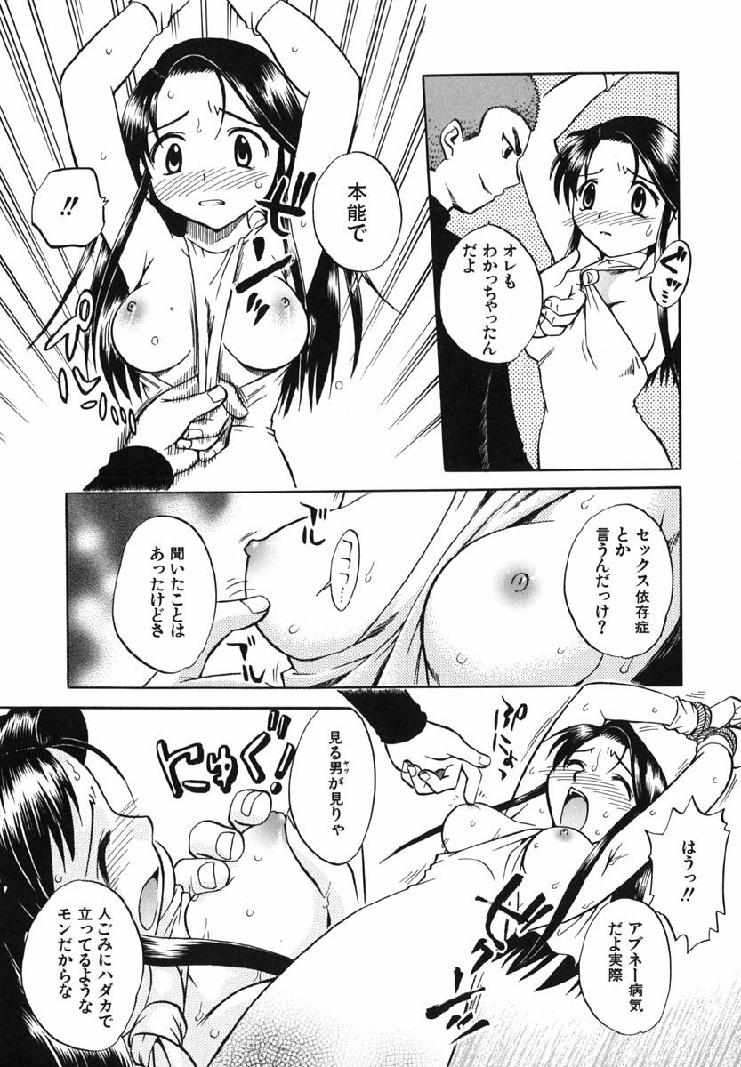 [馬波平] ぷにっ娘 いんびて～しょん