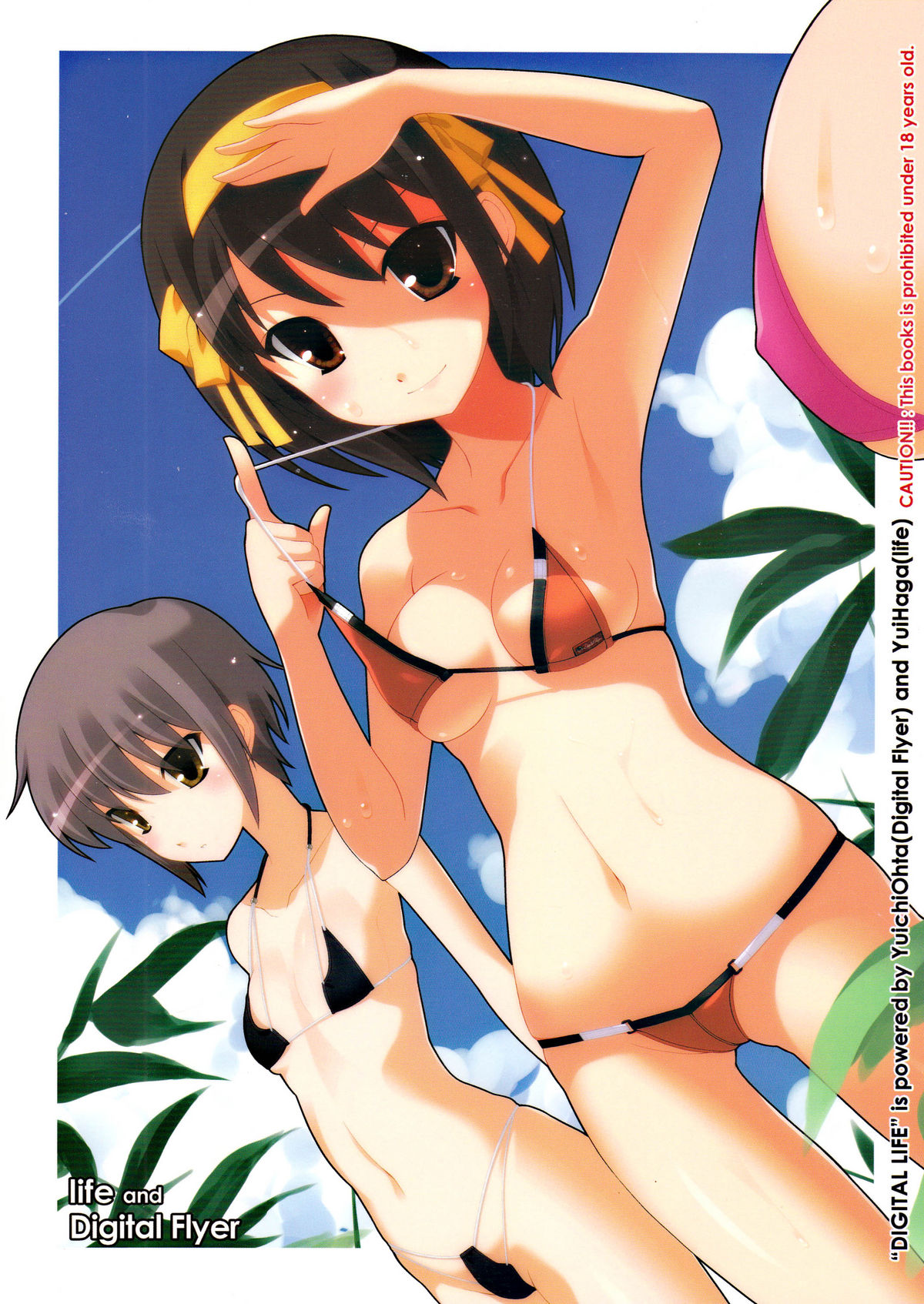 (C72) [life, Digital Flyer (葉賀ユイ, 大田優一)] DIGITAL LIFE 2007夏 (らき☆すた, 涼宮ハルヒの憂鬱)