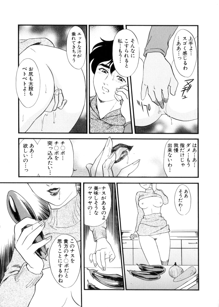 [ふじいあきこ、秋山道夫] 人妻模様3 乱れ妻