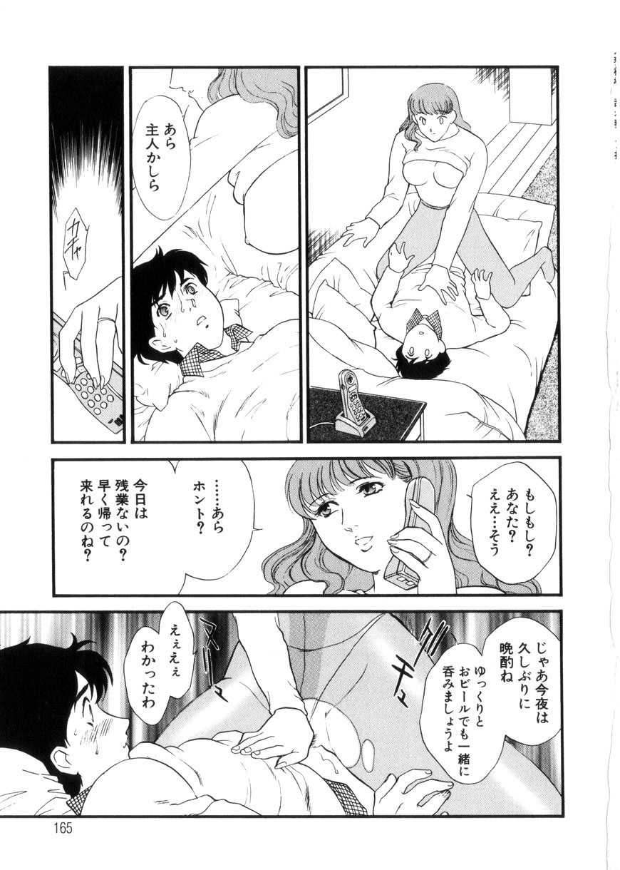 [ふじいあきこ、秋山道夫] 人妻模様3 乱れ妻