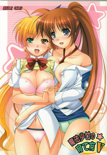 (C77) [K-Drive (鳴滝しん)] 魔法少女の育て方V (魔法少女リリカルなのは)