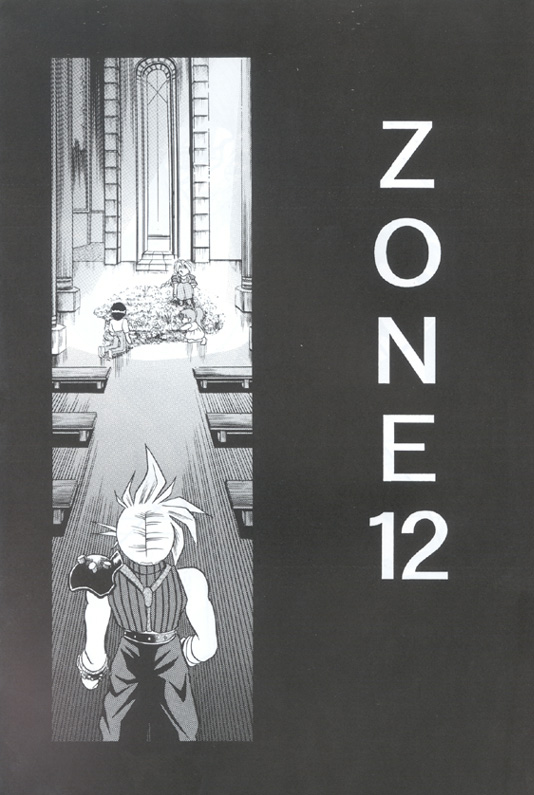 (C53) [サークル太平天国 (	問合来人)] ZONE 12 (	ファイナルファンタジー VII)