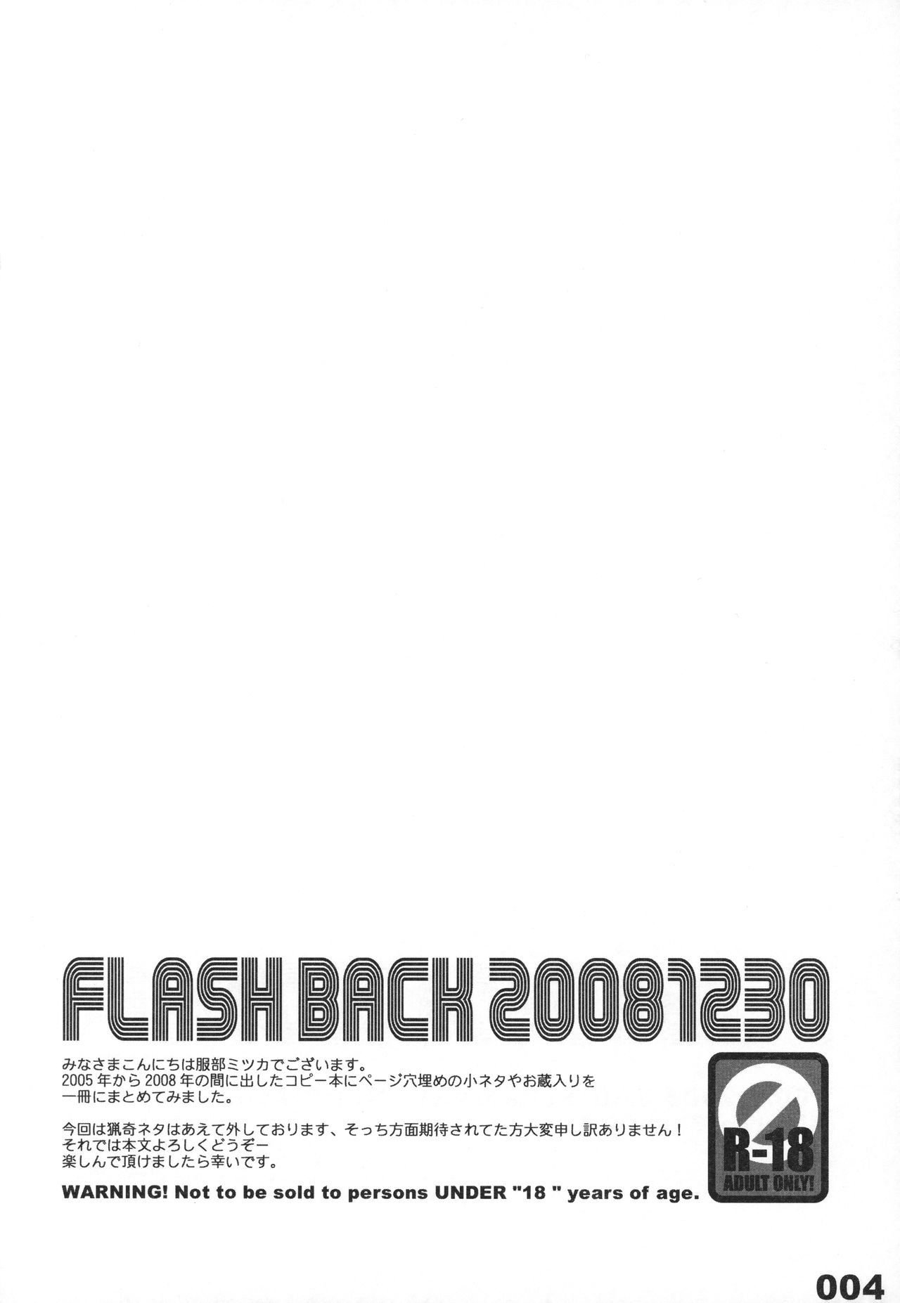 フラッシュバック20081230