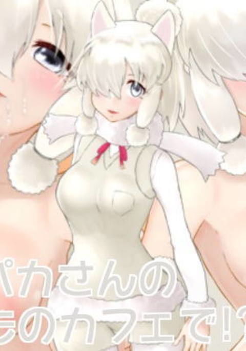 アルパカさんのいつものカフェで!? アルパカさんのいつものカフェで!?