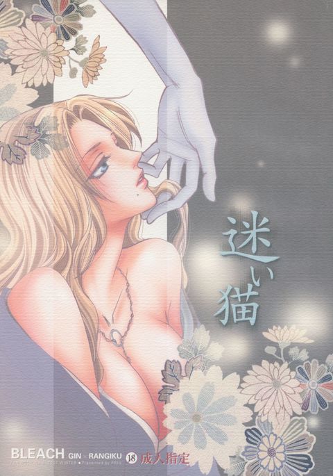 迷い猫オーバーラン 迷い猫オーバーラン