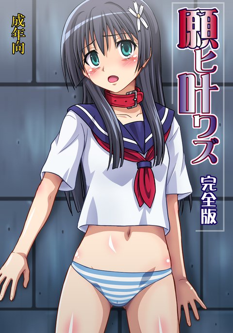 ねがいかなわずかんぜんばん ねがいかなわずかんぜんばん