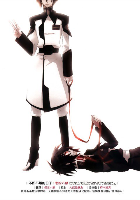 せ酷りのない中国語