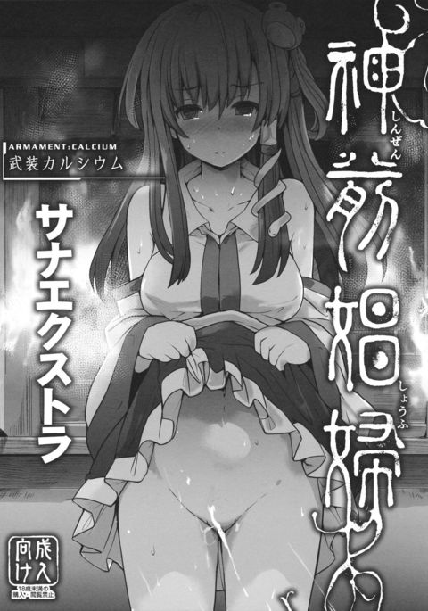 新善書風-さなエクストラ-