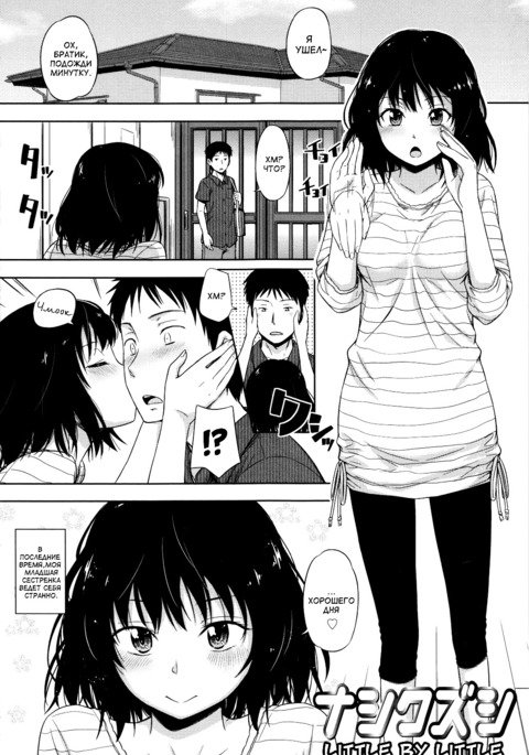 なしくずし少しずつ なしくずし少しずつ