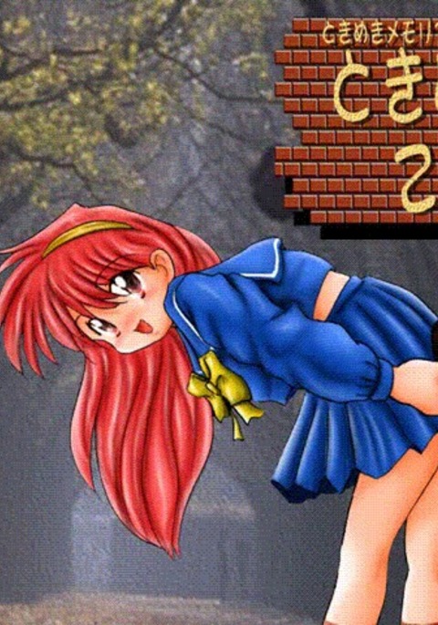 ときめきメモリアルフルカラーCGシュウ-ときめきオトメジュク！