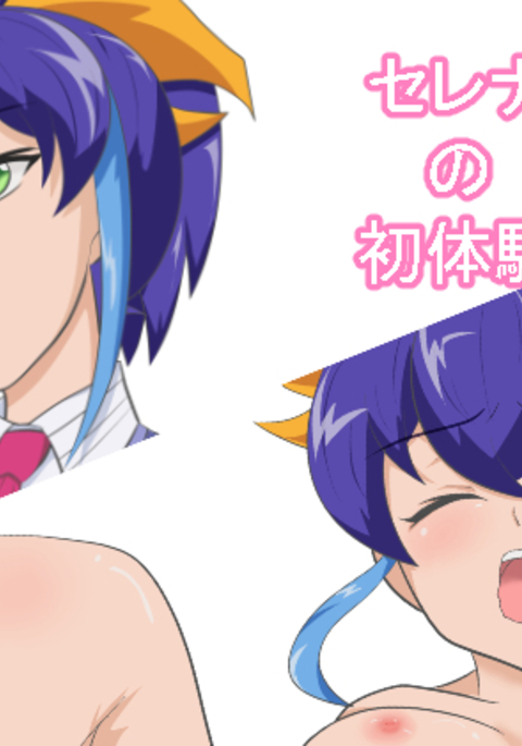 セレナノショタイケン