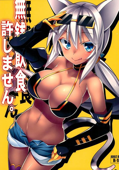 むせんいんしょくゆるしません。