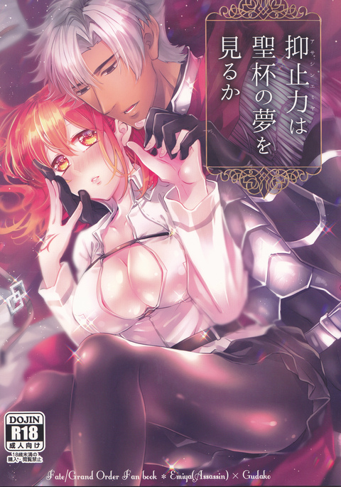 暗殺者衛宮切嗣の夢をミルカ