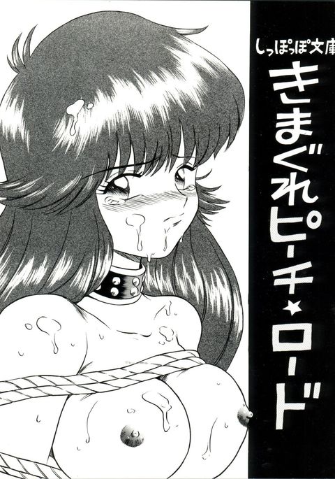 しぞつこ文庫きまぐれピーチロード しぞつこ文庫きまぐれピーチロード