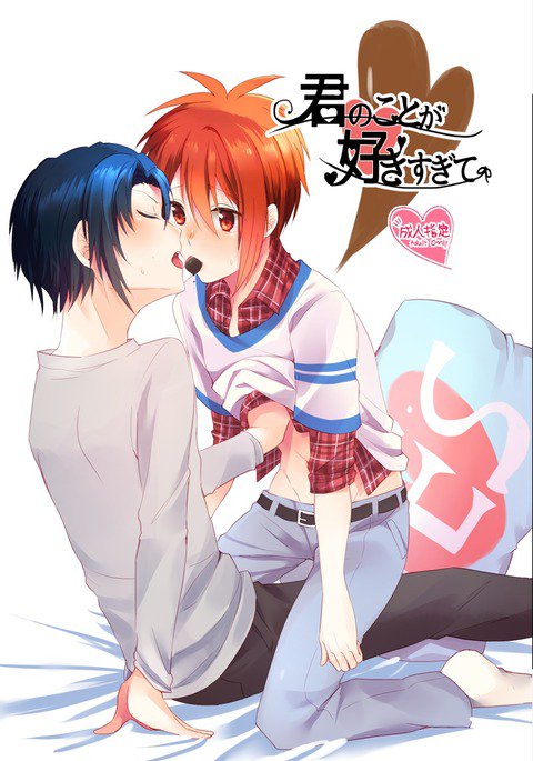 君の箏がすき杉手 君の箏がすき杉手